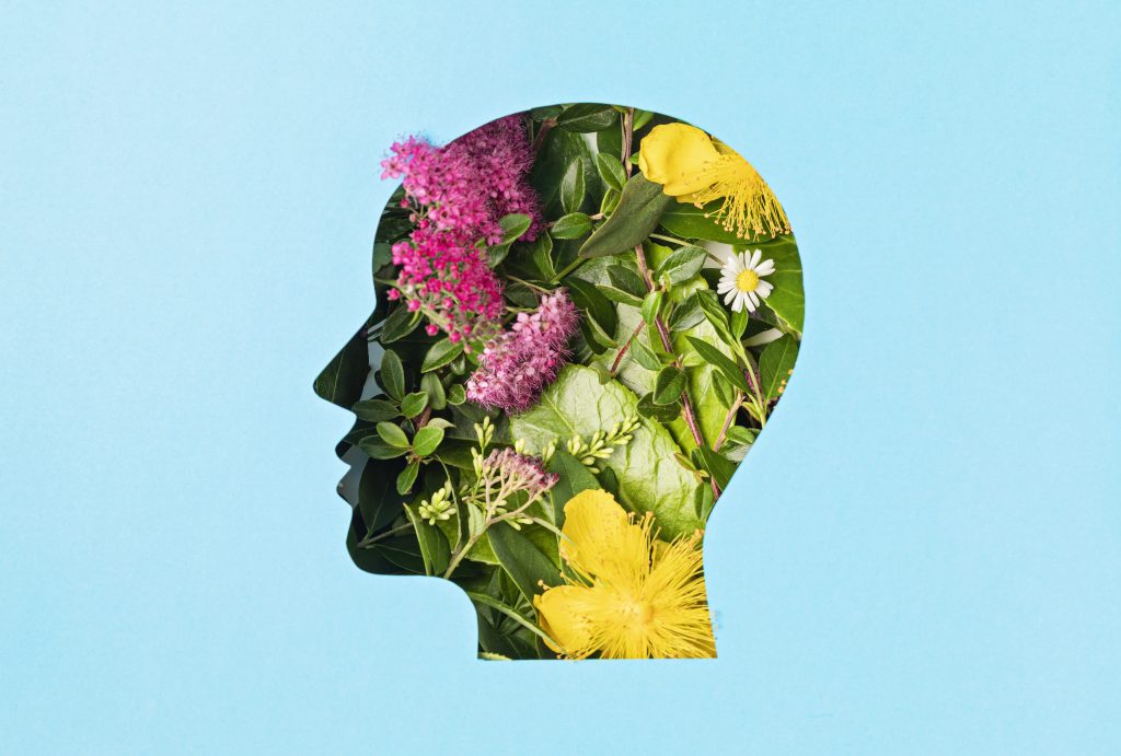 Silhouette of a human head filled with green leaves and pink and yellow flowers against a light blue background; decorative image.
